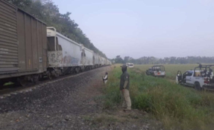 Detienen a migrantes que pretendían subirse al ferrocarril “La Bestia” en Oaxaca