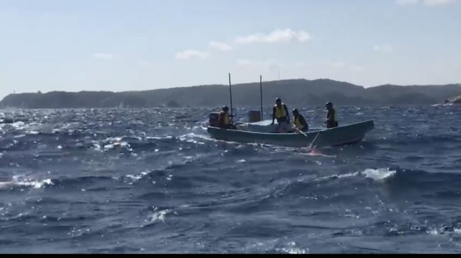 Activan operativo en playas ante arribo de ballenas en las costas de Oaxaca
