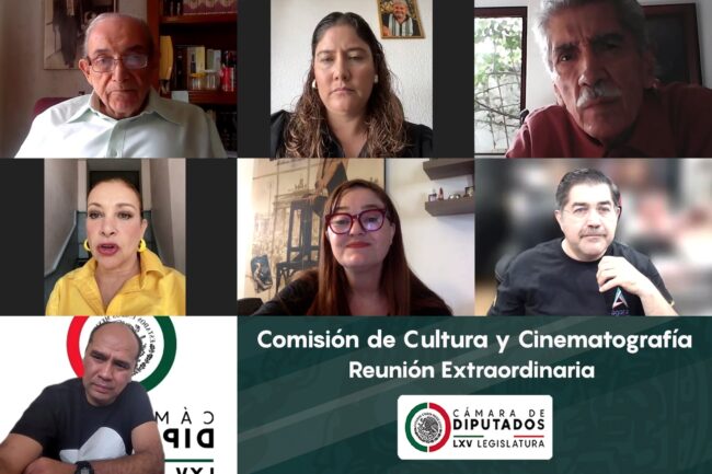prueba Comisión opinión sobre el PEF 2024 para el sector cultura y cinematografía