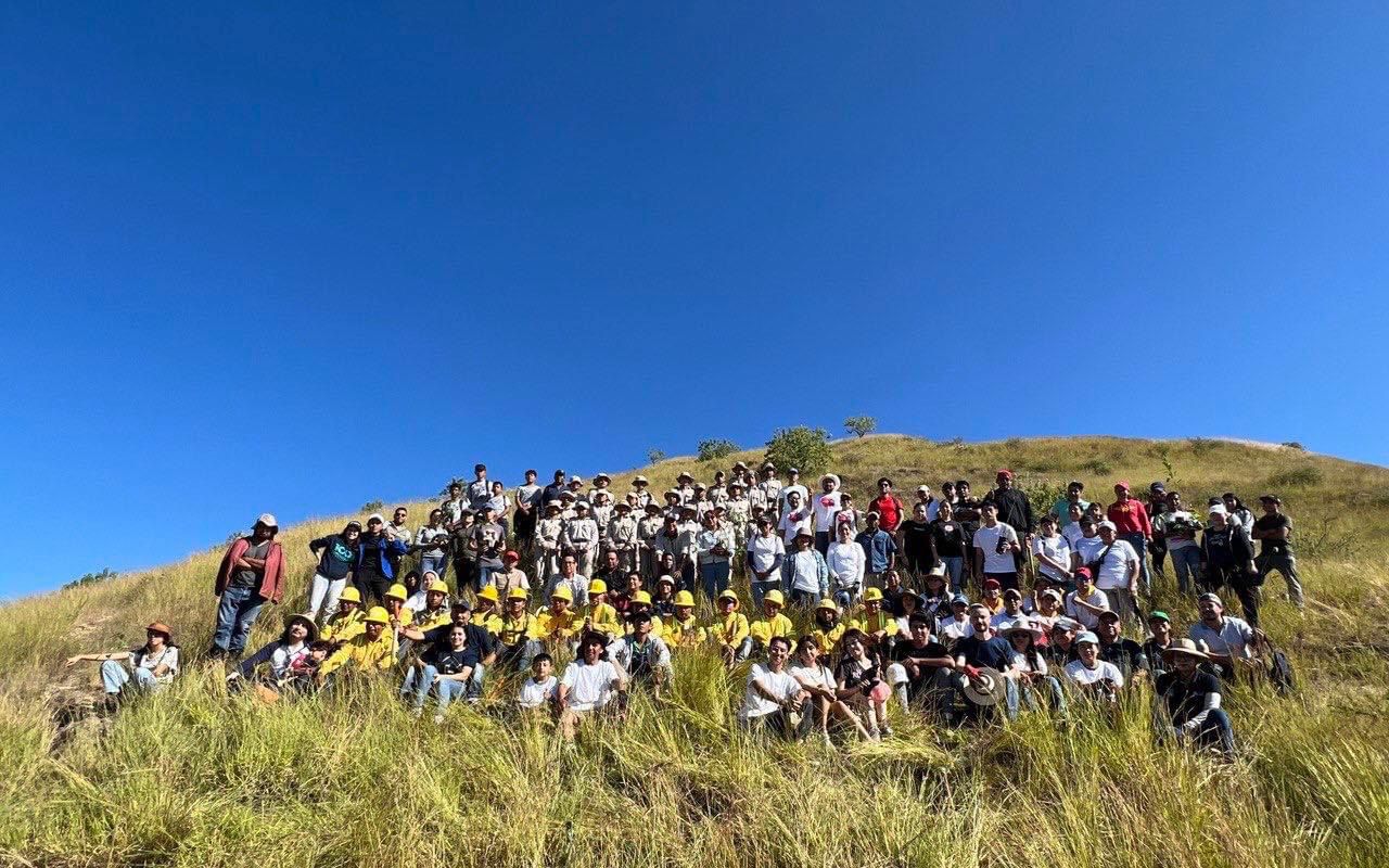 Comunidad universitaria de la UABJO se suman a la reforestación de Monte Alban, con mas de mil 500 nuevos arboles