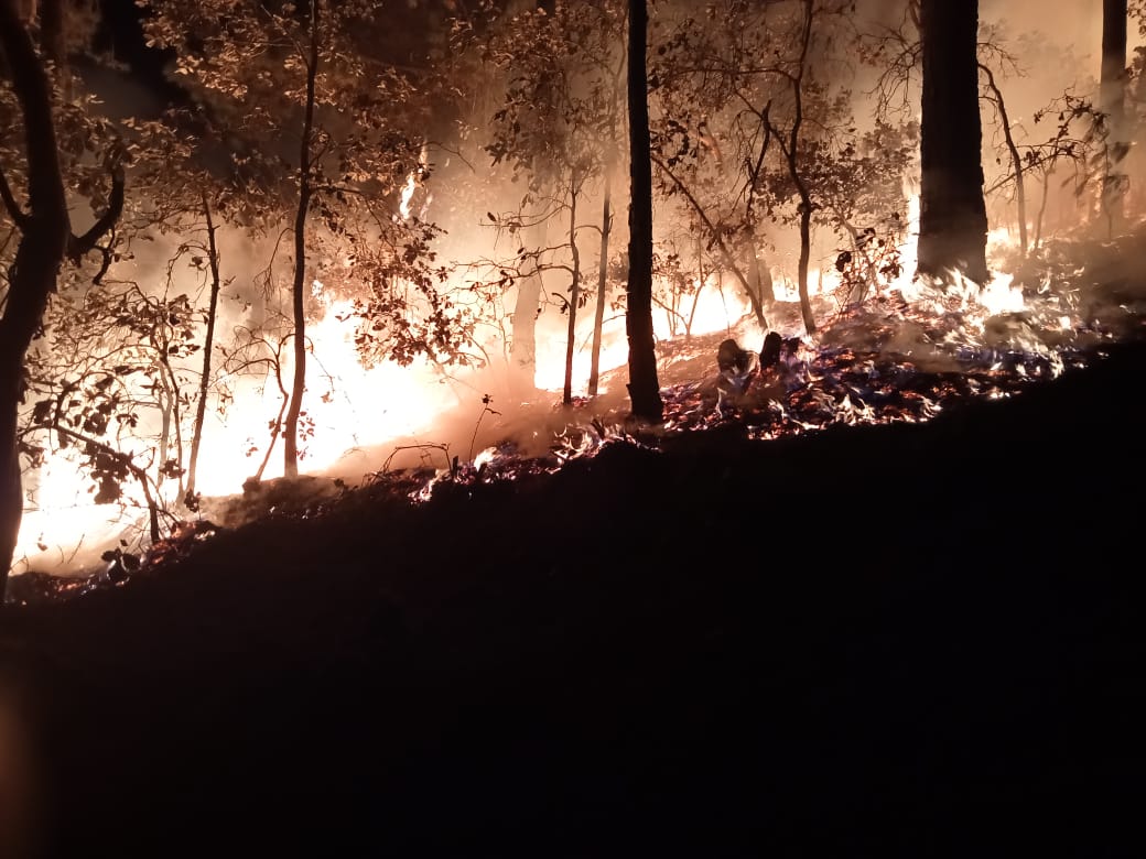 Levantan fase de alerta por incendio forestal de gran magnitud en la Sierra Juárez de Oaxaca