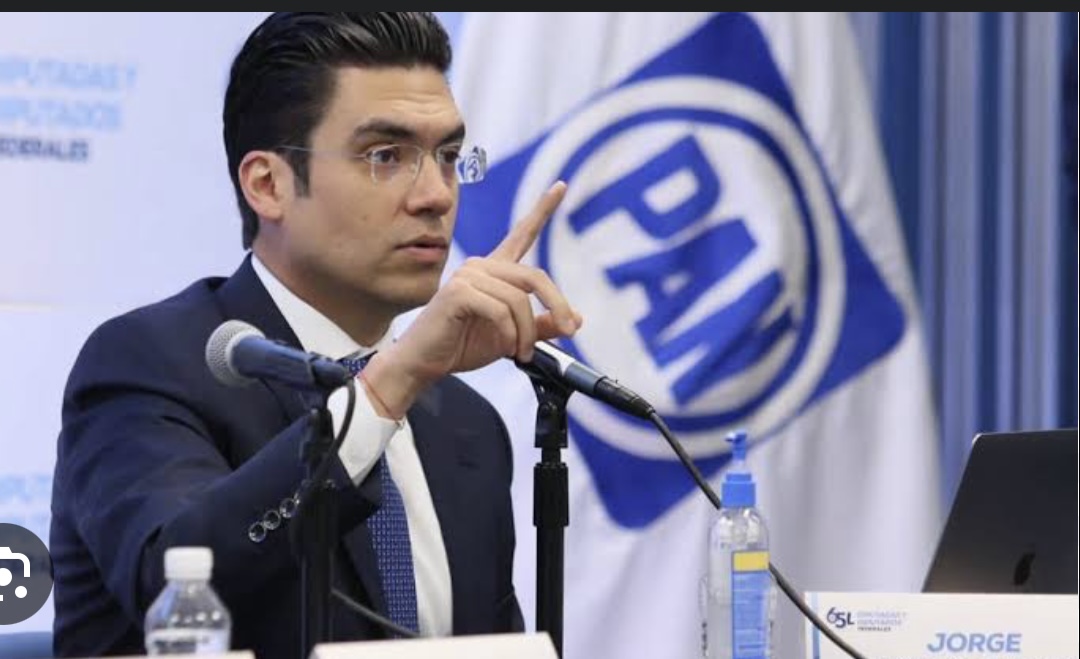 Analizaremos propuestas presidenciales y privilegiaremos búsqueda de coincidencias: Jorge Romero