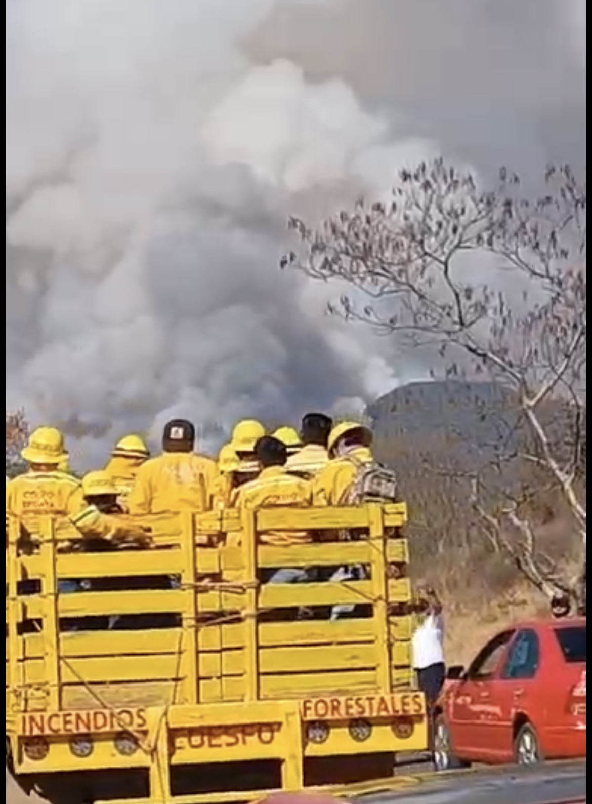 Piden comuneros de zona afectada por incendio forestal ayuda al gobierno de Oaxaca para controlar incendio