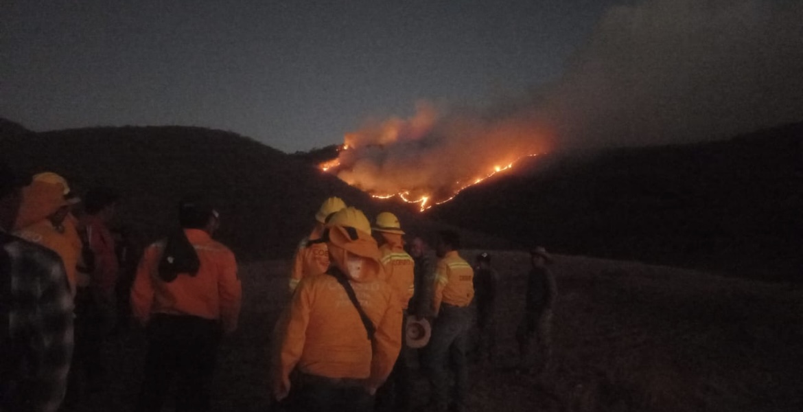 Piden apoyo por incendio de gran magnitud en la sierra sur de Oaxaca Piden apoyo por incendio de gran magnitud en la sierra sur de Oaxaca