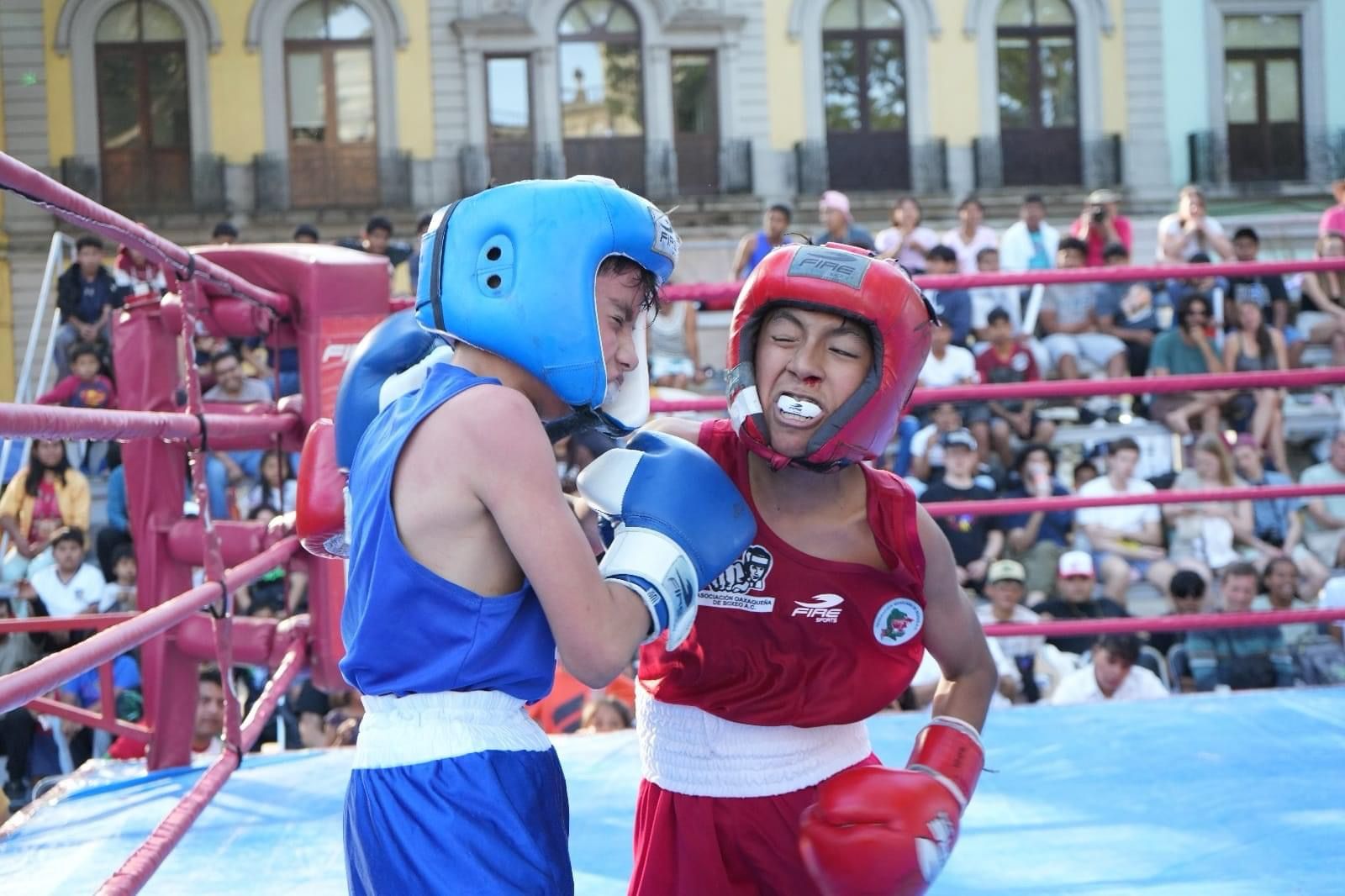 Inicia el Abierto Estatal de Boxeo Oaxaca 2024