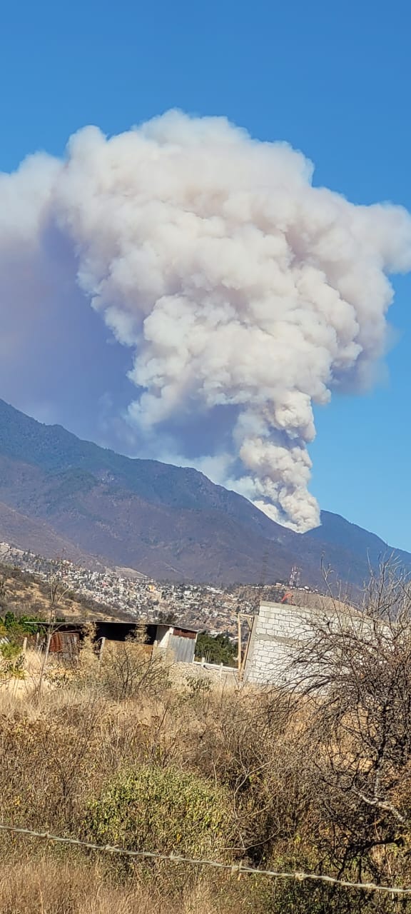 Se reporta fuerte incendio en zona de reserva forestal de Oaxaca en la sierra norte