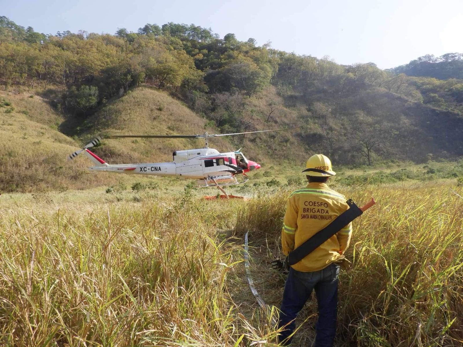 Incendio en Chimalapas en Oaxaca arrasa mil 800 hectáreas de bosques se combate con estrategia aérea militar