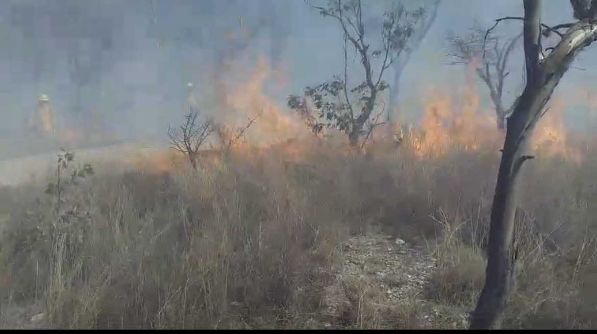 Sigue sin control incendio explosivo en Chimalapas y Hay 4 siniestros mas activos Sigue sin control incendio explosivo en Chimalapas y Hay 4 siniestros mas activos