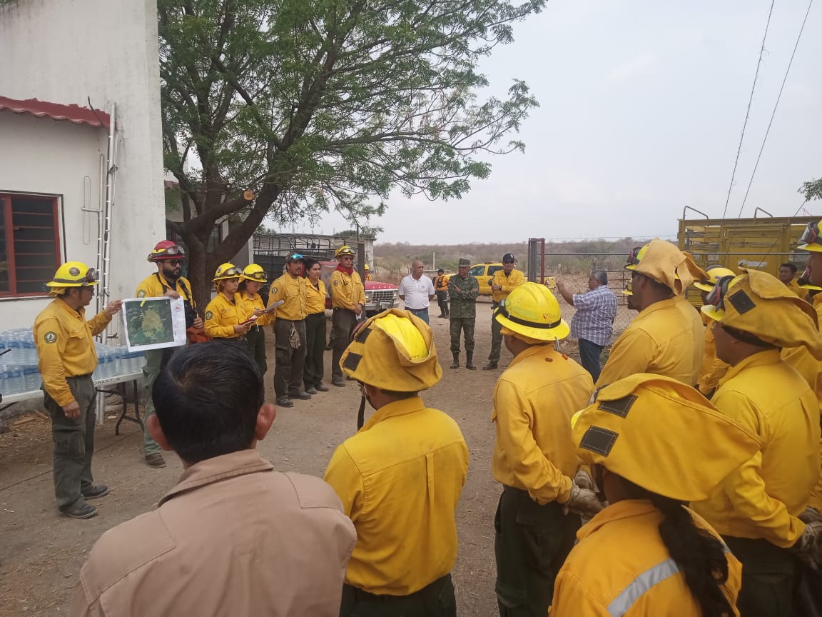 Entregan insumos a personas combatientes del incendio en los Chimalapas Entregan insumos a personas combatientes del incendio en los Chimalapas