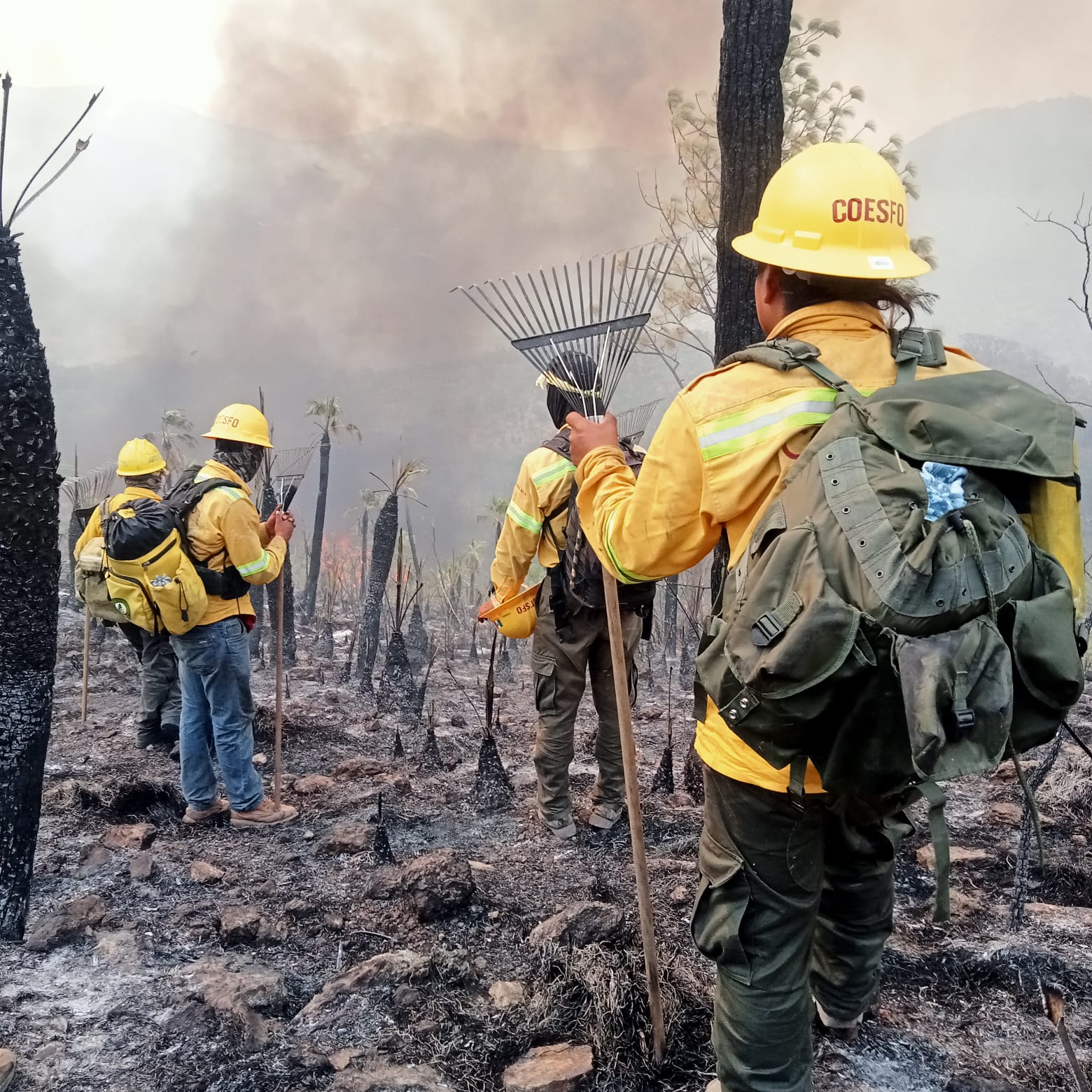 Rescatan a 6 comuneros atrapados en frente de fuego por incendio forestal en Oaxaca