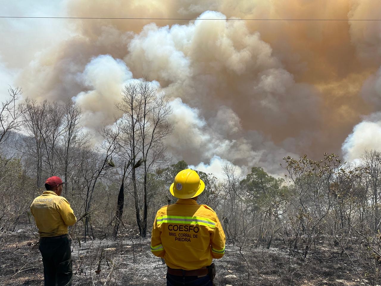 En Oaxaca continua la fase de alerta hay 3 incendios forestales dos frentes de fuego de nueva en la selva de los Chimalapas