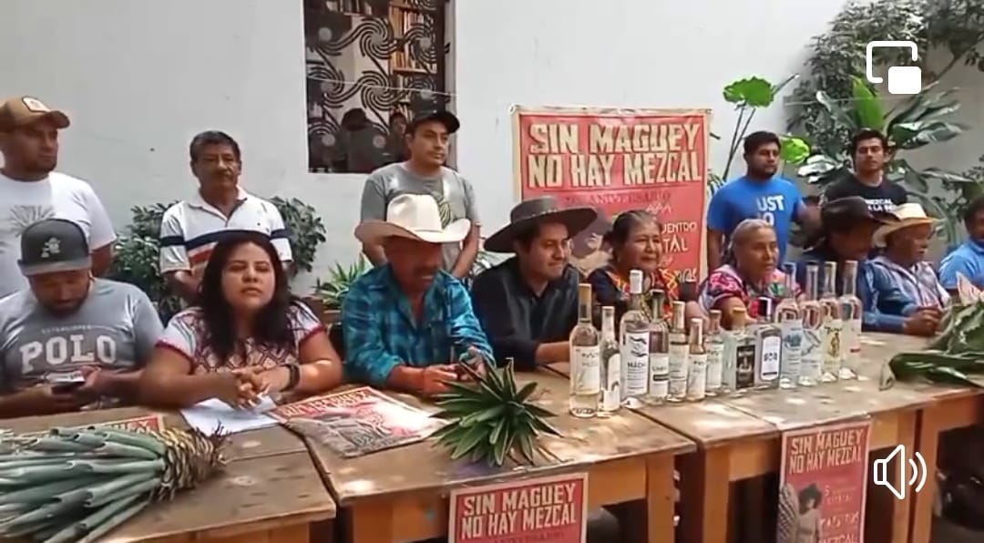 Anuncian Quinto Encuentro Estatal de Maestros del Mezcal