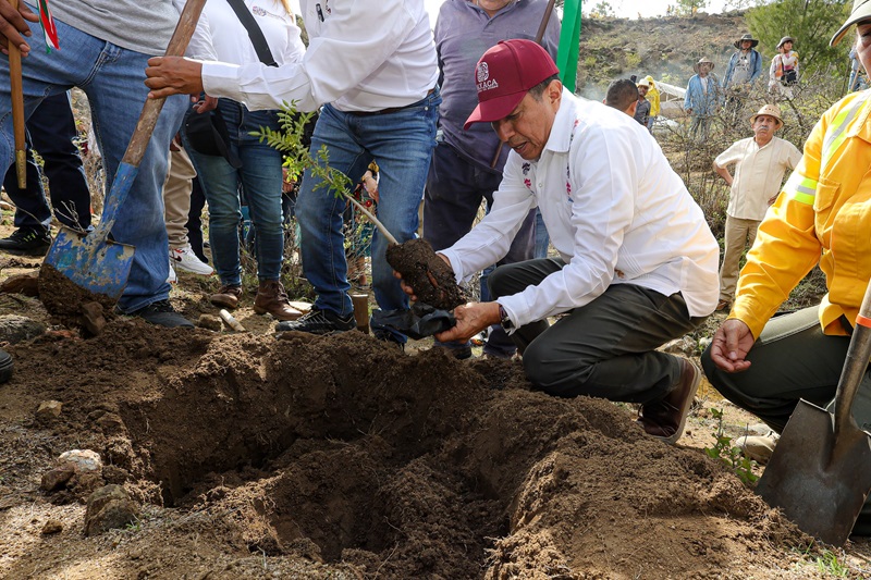 Arranca Jornada Estatal de Reforestación 2024 en San Lucas Quiaviní