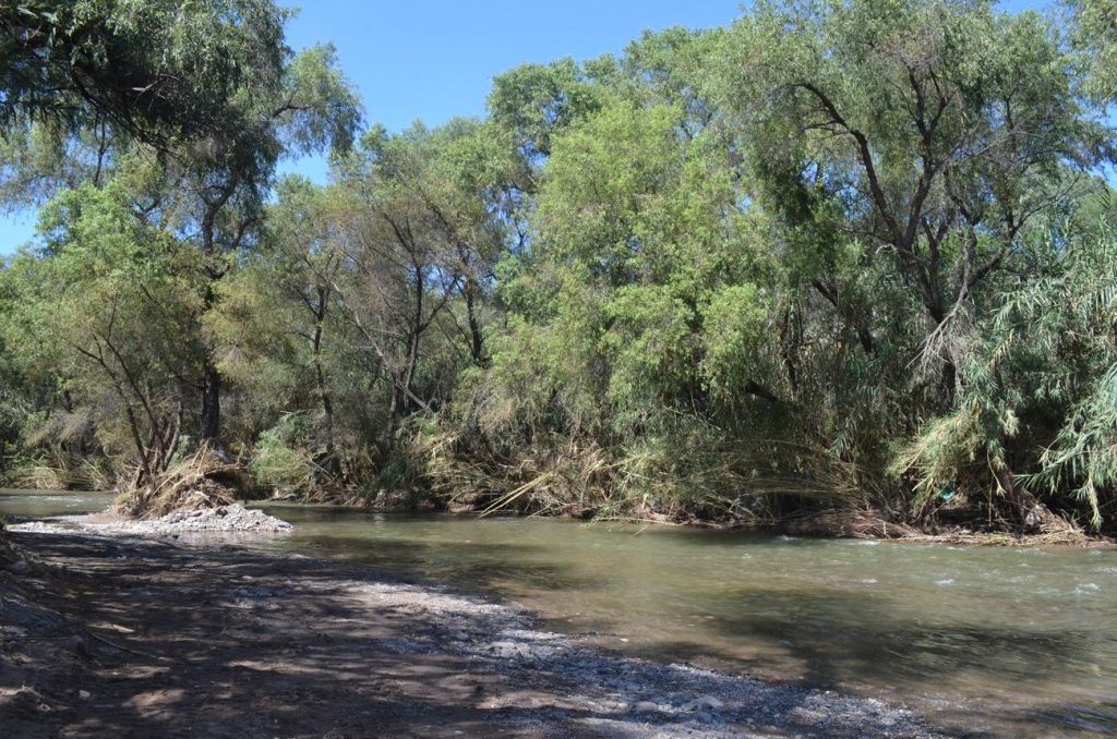 Juez federal concede amparo a persona indígena mixteca: ordena rescate del río Mixteco