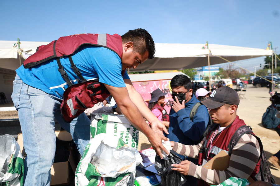 Ante el aumento explosivo en la red de contagios por denge, se desplegó fuerza de tarea de 5 mil voluntarios para erradicar nidos de mosco trasmisor