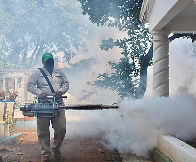 Estrecha colaboración del Municipio con los Servicios de Salud para combatir el dengue