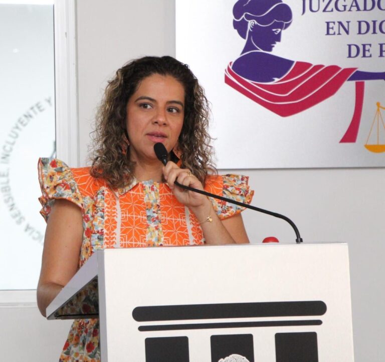 Juzgado Especializado ha dictado 94 órdenes  de protección a favor de víctimas de violencia