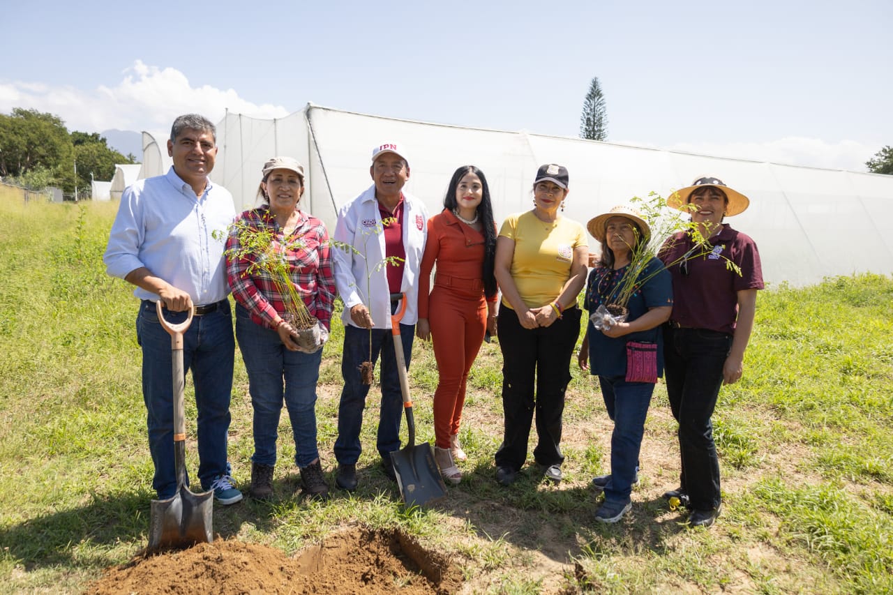 Plantan mil 200 árboles de Reforesta Oaxaca en el CIIDIR del Instituto Politécnico Nacional