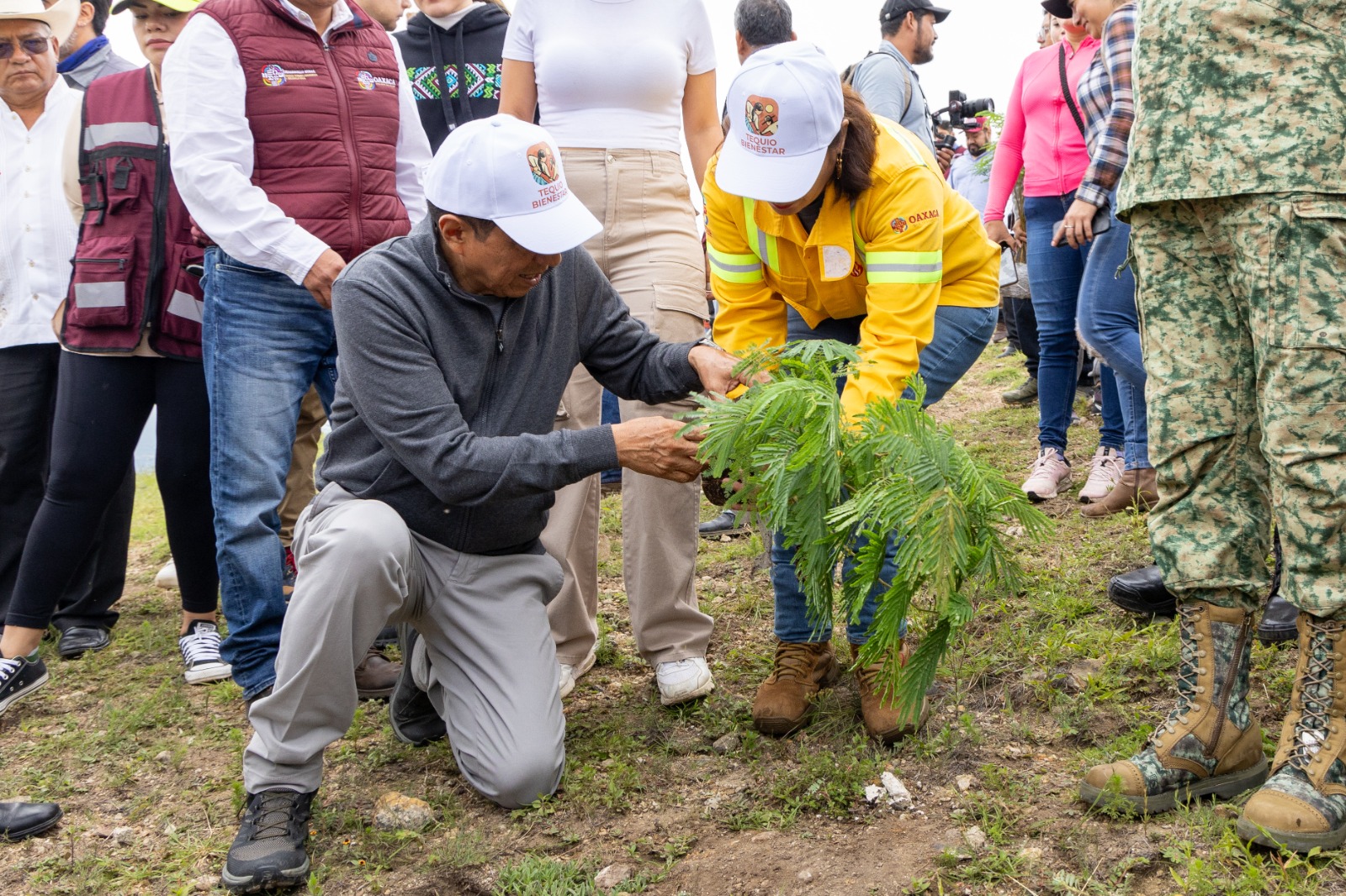 Revitalizan suelos del Polígono de Monte Albán con segunda etapa de reforestación