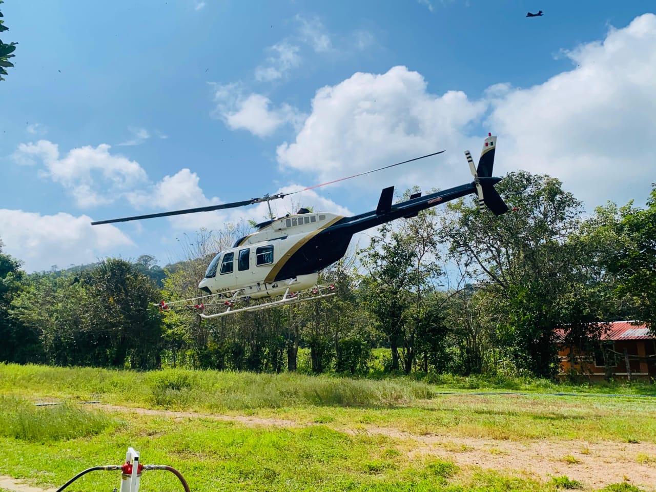 Combaten plagas forestales con aspersión de 193.89 hectáreas de Santa María el Rincón