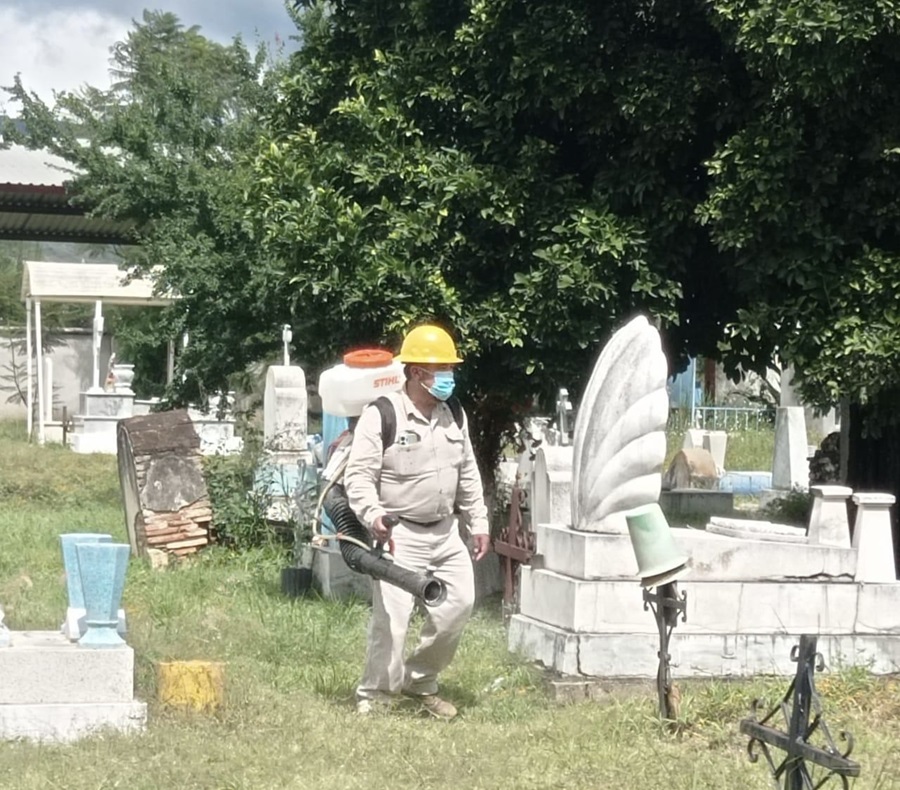 Inicia SSO operativo contra el dengue en 279 panteones Inicia SSO operativo contra el dengue en 279 panteones