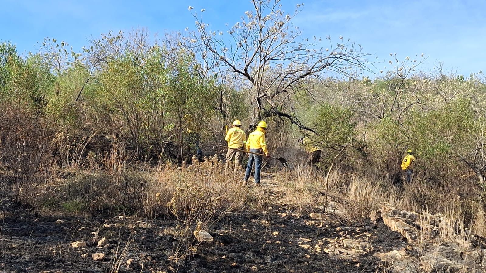 Controla Coesfo incendio forestal en Tlalixtac de Cabrera Controla Coesfo incendio forestal en Tlalixtac de Cabrera