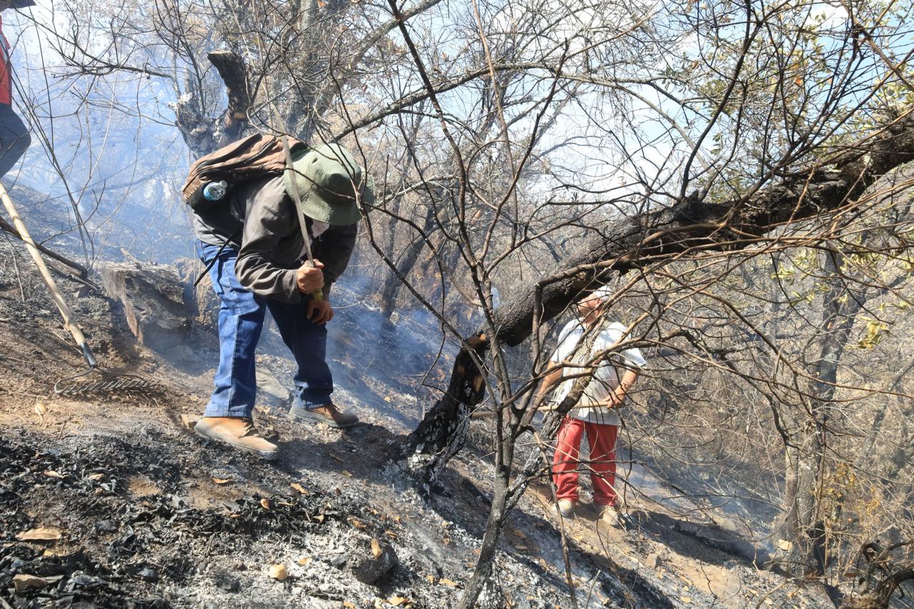 Controlan incendio forestal en límites de Donají y San Felipe del Agua Controlan incendio forestal en límites de Donají y San Felipe del Agua