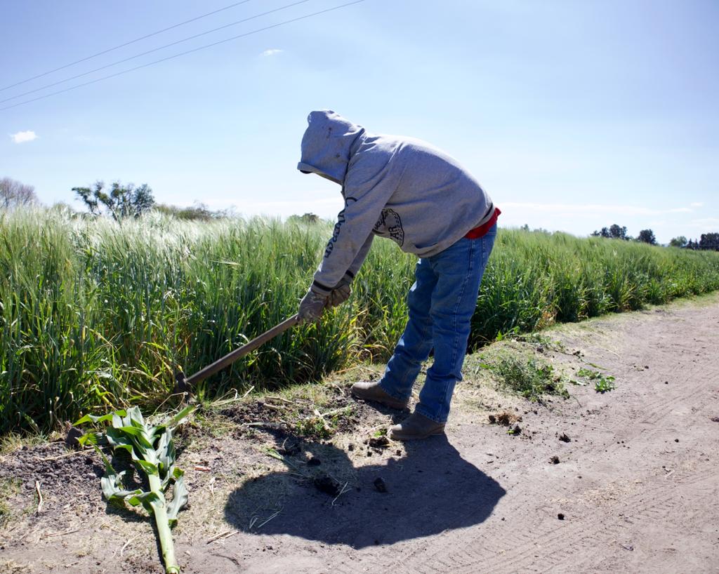 VAN SEIS AÑOS Y MEDIO DE ANGUSTIA DE PRODUCTORES AGRÍCOLAS PECUARIOS, INDUSTRIALES Y PESQUEROS VAN SEIS AÑOS Y MEDIO DE ANGUSTIA DE PRODUCTORES AGRÍCOLAS PECUARIOS, INDUSTRIALES Y PESQUEROS
