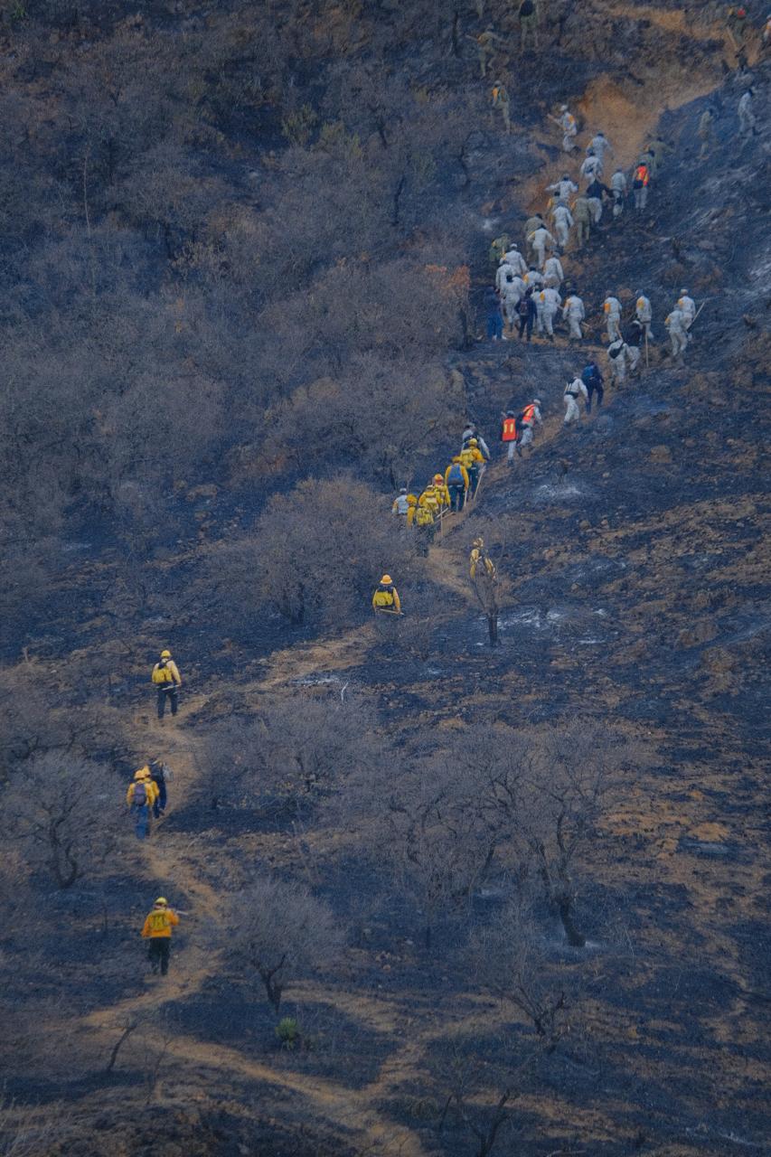 SUPERA OAXACA LA BARRERA DE LOS 106 INCENDIOS FORESTALES, SE MANTIENE ACTIVA CONTINGENCIA, HAY 7 SINIESTROS ACTIVOS SUPERA OAXACA LA BARRERA DE LOS 106 INCENDIOS FORESTALES, SE MANTIENE ACTIVA CONTINGENCIA, HAY 7 SINIESTROS ACTIVOS