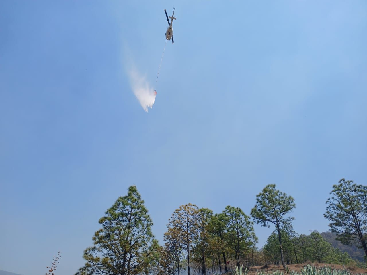 Reporta Coesfo control de incendio forestal en San Felipe Zapotitlán