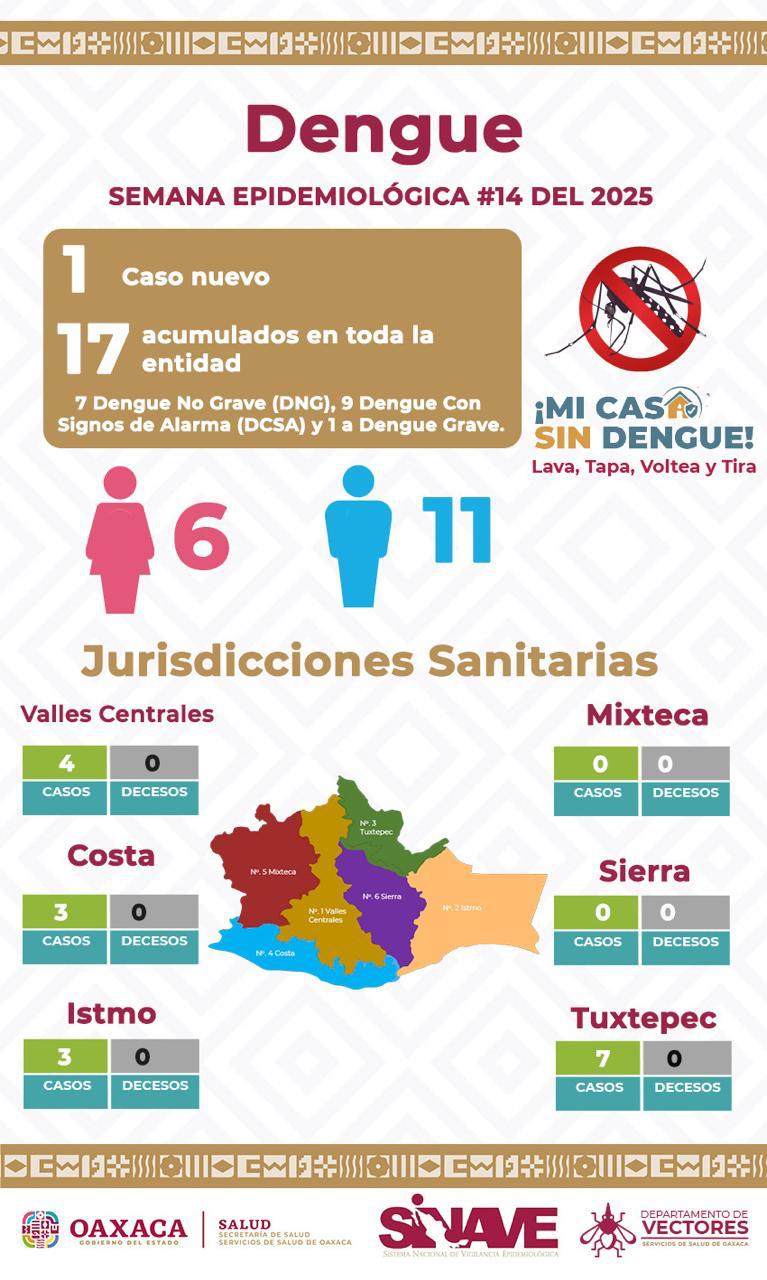 En la Mixteca, despliegan acciones contundentes contra el dengue En la Mixteca, despliegan acciones contundentes contra el dengue