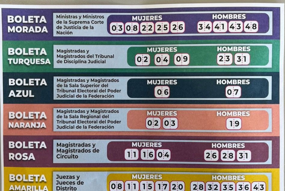 Recibe INE denuncias sobre distribución de presunta propaganda electoral; investiga e informa a la FISEL