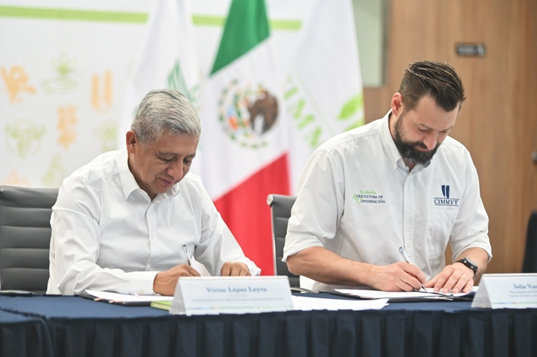 Firman convenio Sefader y CIMMYT para el Banco de Semillas de Oaxaca Firman convenio Sefader y CIMMYT para el Banco de Semillas de Oaxaca
