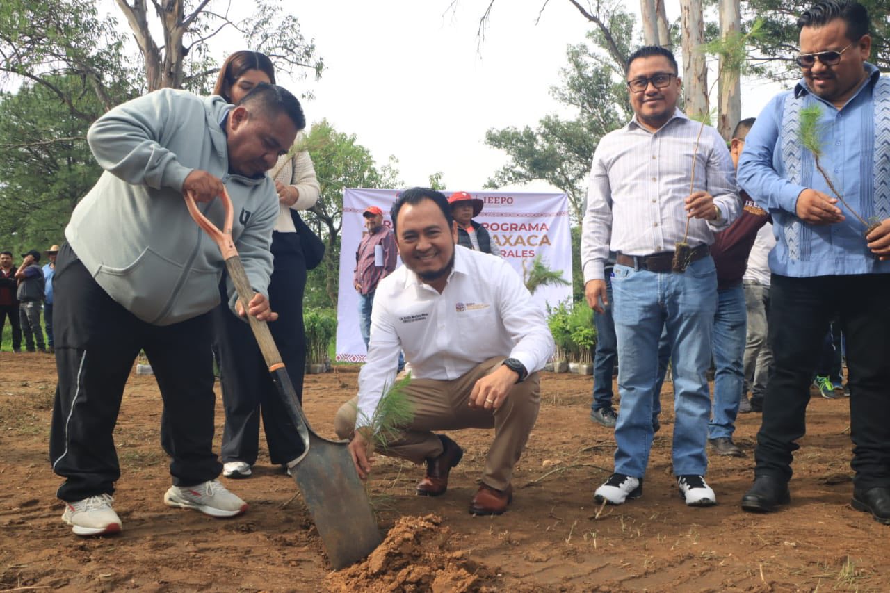 Inicia el programa IEEPO “Reforesta Oaxaca” en escuelas de educación básica Inicia el programa IEEPO “Reforesta Oaxaca” en escuelas de educación básica