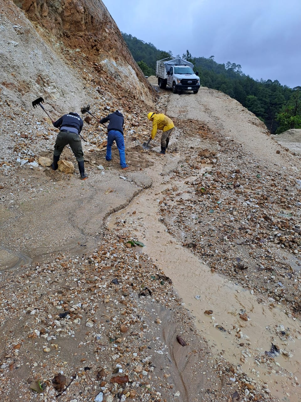 Atienden brigadas de Coesfo afectaciones en la Sierra Sur y Costa provocadas por el huracán Erick Atienden brigadas de Coesfo afectaciones en la Sierra Sur y Costa provocadas por el huracán Erick