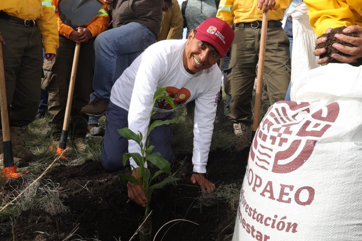 Con Mega Tequio de Reforestación 2025, Salomón Jara une y restaura el ecosistema de la zona Chocho-Mixteca