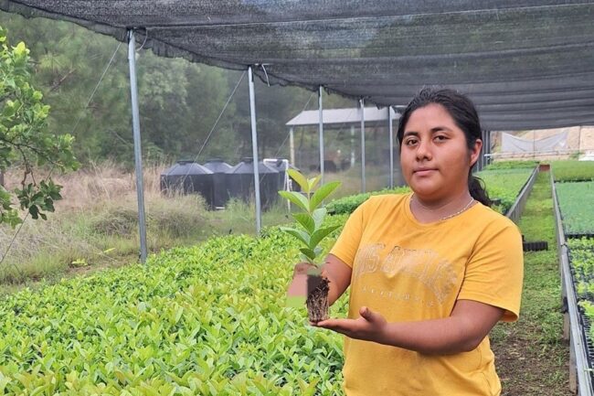 Invita Coesfo a autoridades y ciudadanía a conocer el vivero de Santa Cruz Itundujia