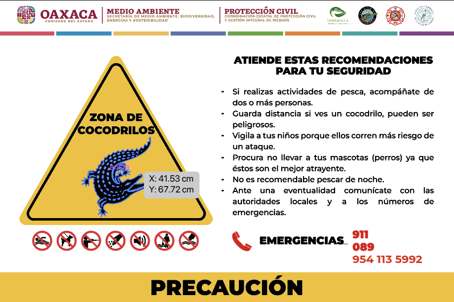 Emite Secretaría de Medio recomendaciones para posibles avistamientos de cocodrilos por el paso del huracán “Erick” Emite Secretaría de Medio recomendaciones para posibles avistamientos de cocodrilos por el paso del huracán “Erick”