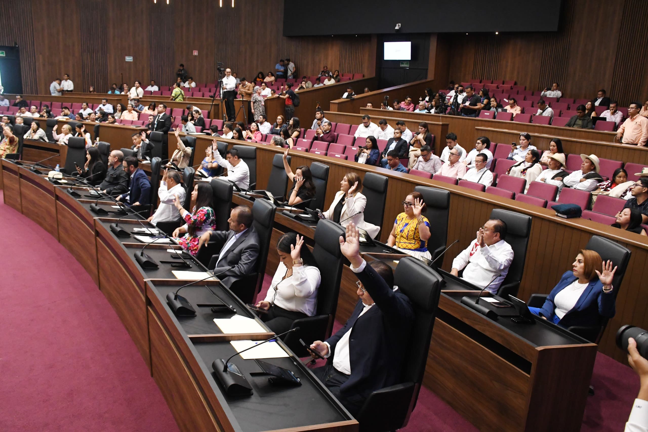 Oaxaca se suma a la lucha contra el maltrato animal: Congreso local aprueba exhorto para su protección Oaxaca se suma a la lucha contra el maltrato animal: Congreso local aprueba exhorto para su protección