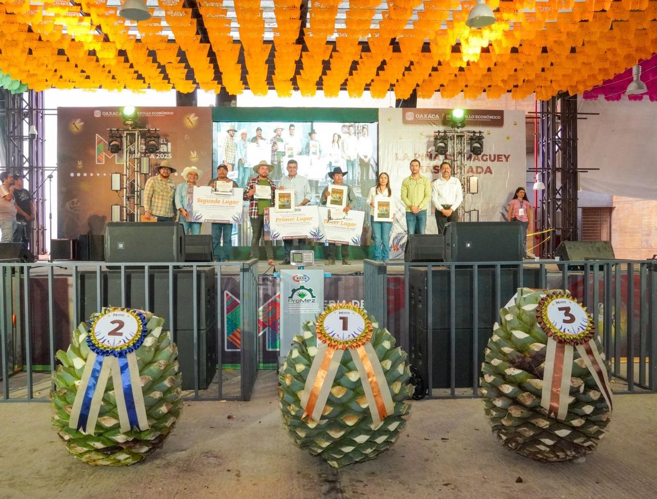 Celebra Sedeco Día de la y el Magueyero Oaxaqueño con una piña de 319.2 kilogramos Celebra Sedeco Día de la y el Magueyero Oaxaqueño con una piña de 319.2 kilogramos