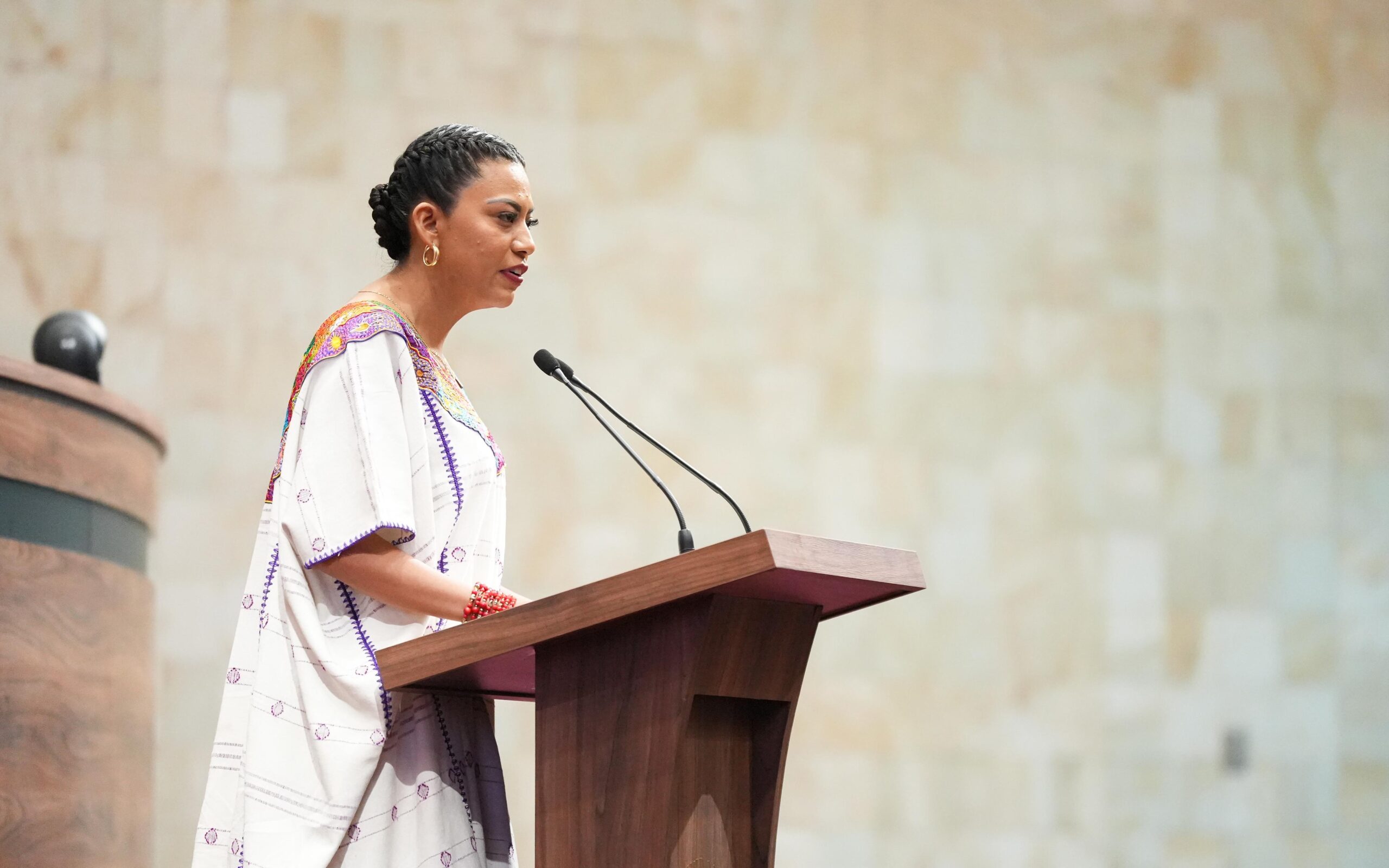 Karla Clarissa Bornios: La lucha de las mujeres afrodescendientes es una causa legislativa que requiere acción y compromiso Karla Clarissa Bornios: La lucha de las mujeres afrodescendientes es una causa legislativa que requiere acción y compromiso