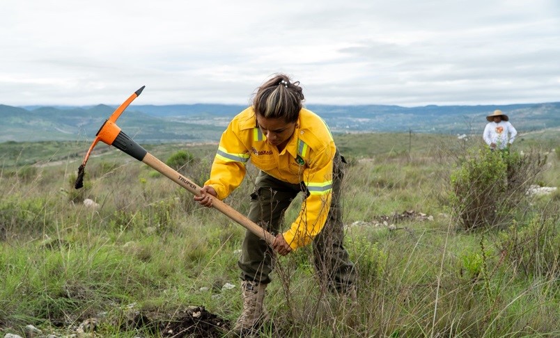 Siembra Coesfo más de 200 mil plantas durante la Jornada Estatal de Reforestación 2025 en nación Chocho-Mixteca Siembra Coesfo más de 200 mil plantas durante la Jornada Estatal de Reforestación 2025 en nación Chocho-Mixteca