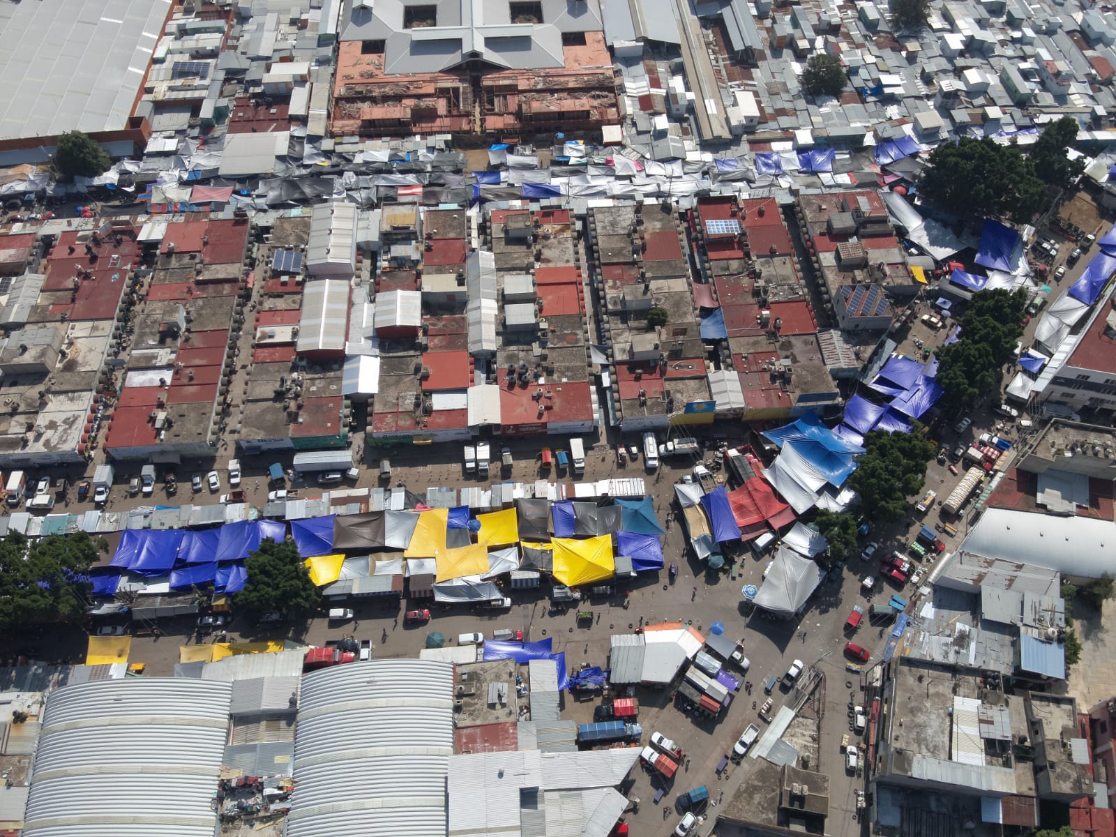 Fiscalía de Oaxaca y Mando de Coordinación de Seguridad de la Zona Metropolitana, realizan despliegue inmediato y trabajos de búsqueda de responsables de homicidio cometido en la capital.