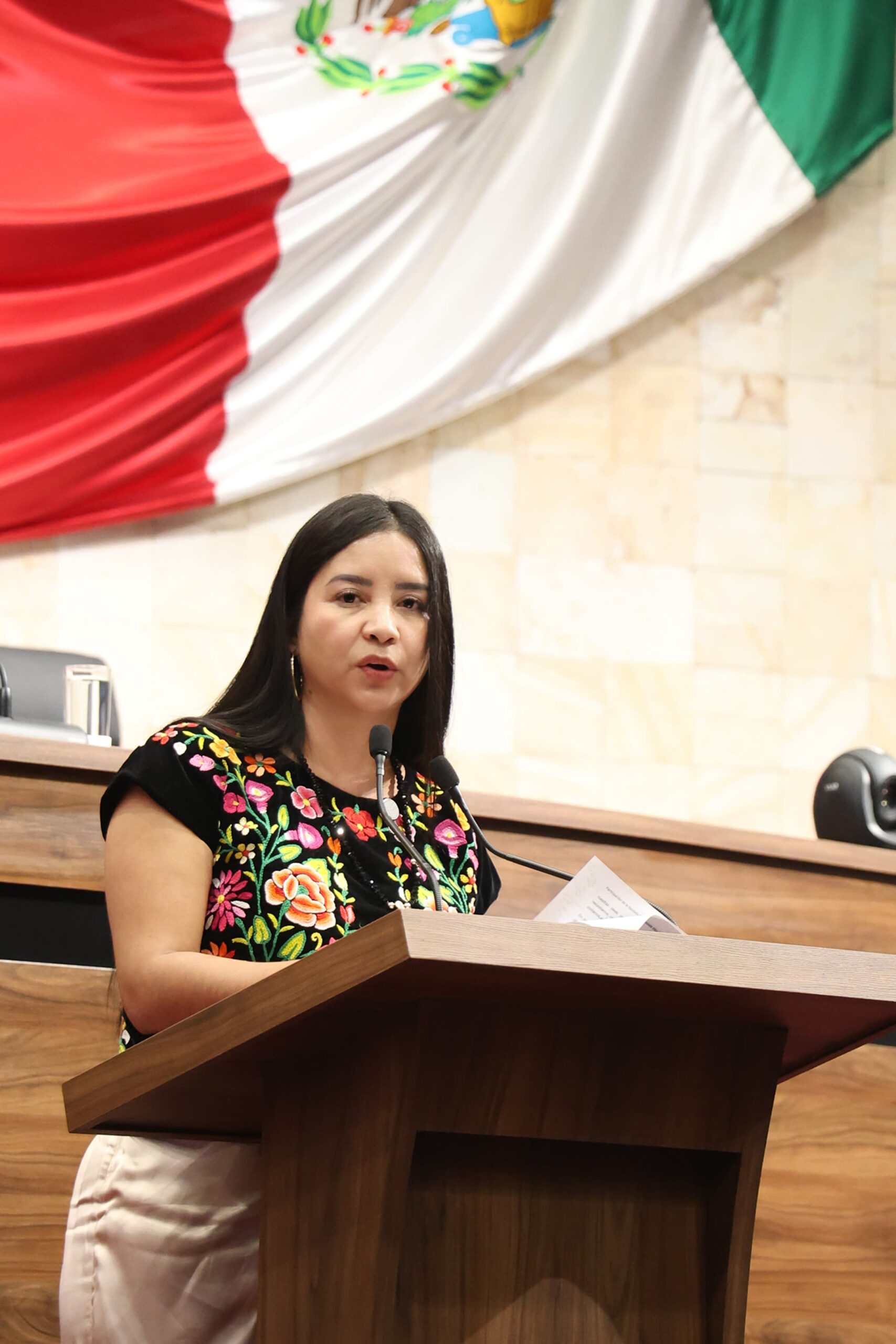 Oaxaca, estado pionero en armonizar código penal con estándares internacionales de derechos humanos en materia de violencia sexual. Oaxaca, estado pionero en armonizar código penal con estándares internacionales de derechos humanos en materia de violencia sexual.