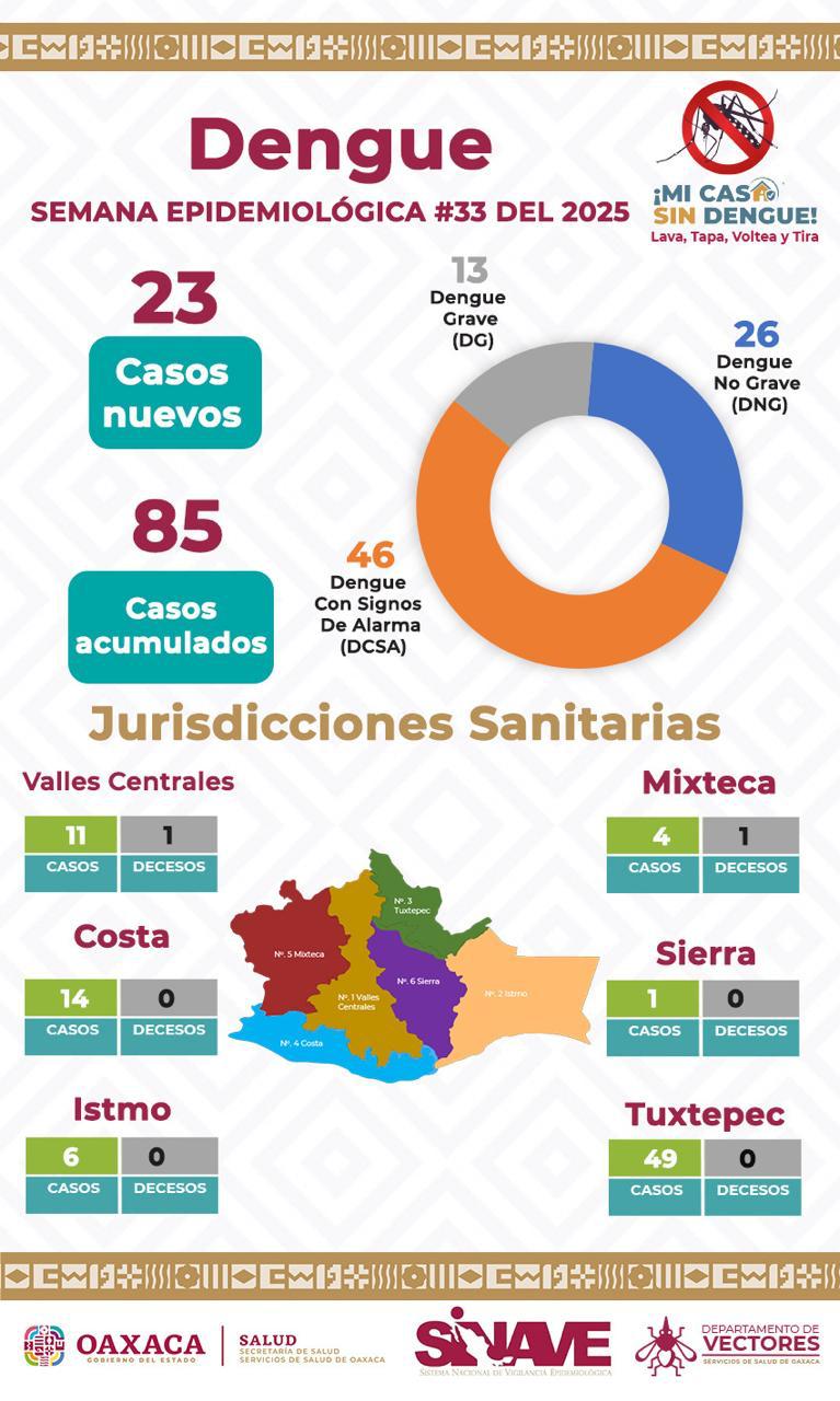 Oaxaca logra reducir en un 97% los casos de dengue: SSO