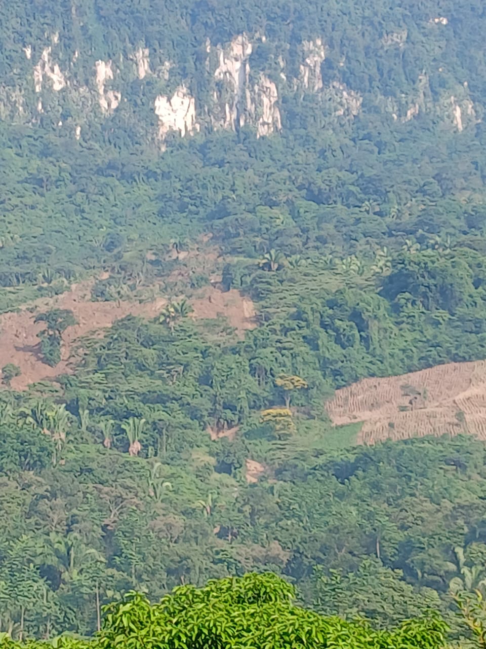 Descarta Protección Civil falla geológica en San Felipe Jalapa de Díaz