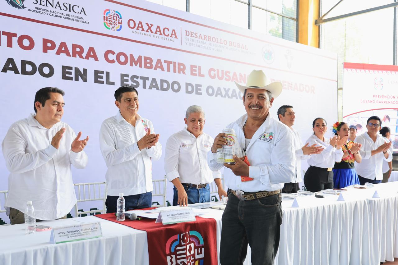 Refuerza Gobierno de Oaxaca acciones preventivas para combatir la presencia de gusano barrenador