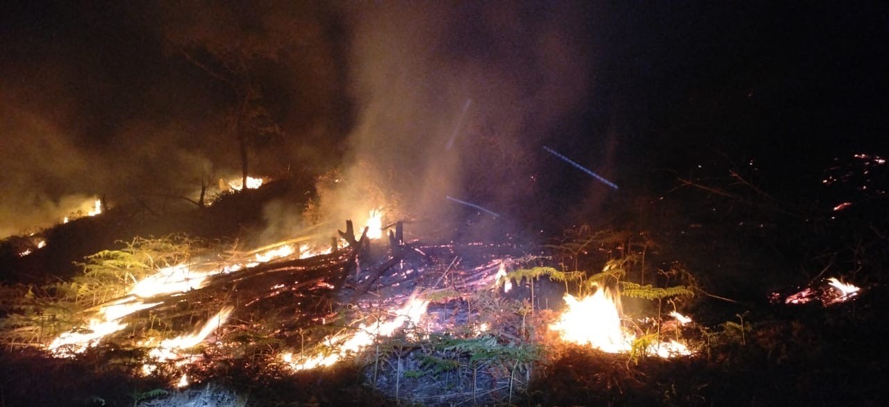 investiga Coesfo quema agrícola no supervisada en zona forestal de Chimalapas investiga Coesfo quema agrícola no supervisada en zona forestal de Chimalapas