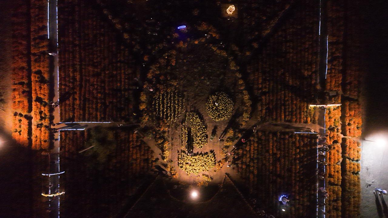 Da Sectur Oaxaca banderazo de salida del circuito floral “Flores que Guían el Alma” Da Sectur Oaxaca banderazo de salida del circuito floral “Flores que Guían el Alma”