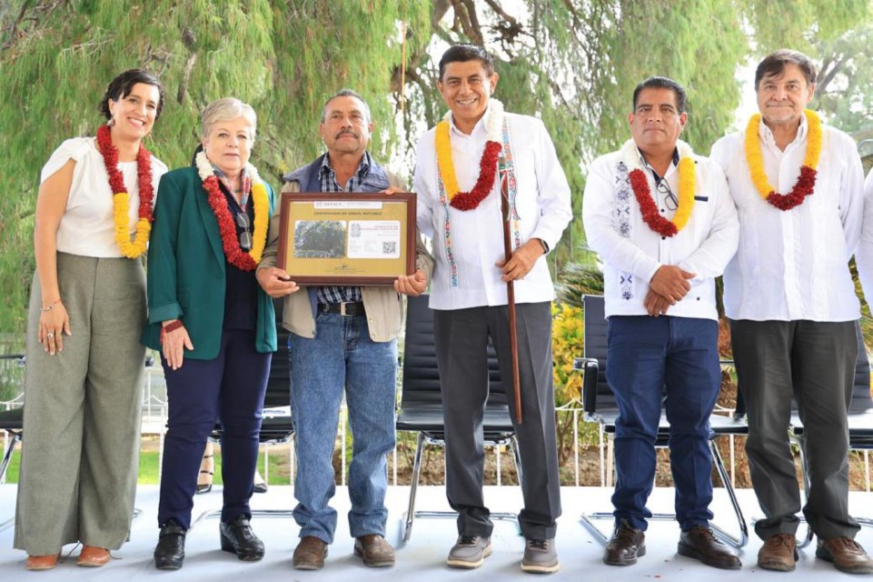 Gobierno de Oaxaca y Federación entregan certificados a ocho Árboles Notables e Históricos Gobierno de Oaxaca y Federación entregan certificados a ocho Árboles Notables e Históricos